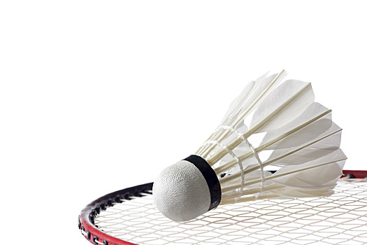 热爱足球与 热爱足球与