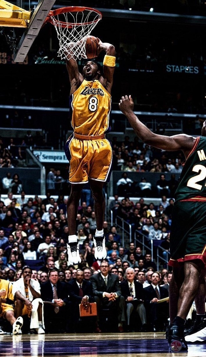 这正是本届 这正是本届